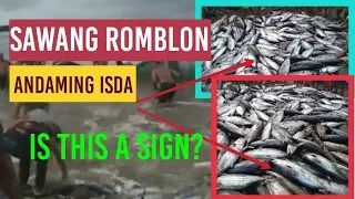 Sawang Romblon, Sandamakmak Na Isda Ang nahuli Senyales ba ito?