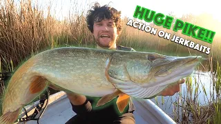 MONSTER PIKE on a Jerkbait! (Lure fishing - Catch & Release)