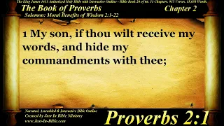 Bible Book #20 - Proverbs Chapter 2 - The Holy Bible KJV Read Along Audio/Video/Text