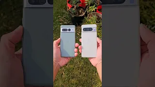 Pixel 7 Pro vs Pixel 8 Pro camera test! #pixel8pro #pixel7pro