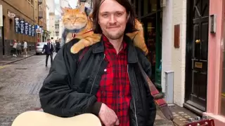 James Bowen and Street Cat Bob - Beautiful World