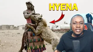 African Hyena Men | Animal Gangs