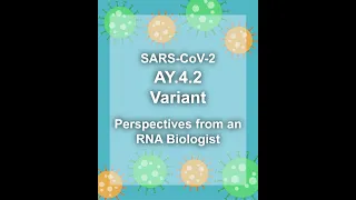 SARS-CoV-2 AY4.2 (Delta Plus) Variant Explained