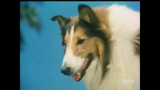 Lassie - Episode 571-572 - "Mustang" - Season 18, Eps. 10-11 - 12/09-16/1971