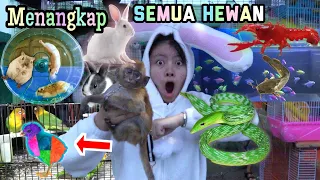 Menangkap Hewan Lucu, Kelinci, Monyet, Ular, Ikan Lele, Kepiting, Hamster ! BURUNG BISA NGOMONG