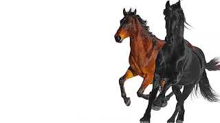 Lil Nas X - Old Town Road (feat. Billy Ray Cyrus) [Remix]