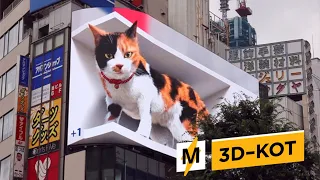 Мяукающий 3D–Кот: Мимо Такой Рекламы Вы Точно Не Пройдете