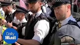 Pro-Brexit demonstrators clash with police outside Parliament