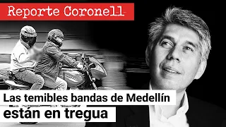 REPORTE CORONELL: Las temibles bandas CRlMlNALES de Medellín están en tregua