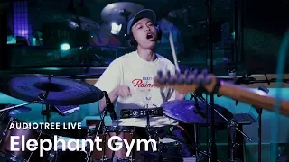 Elephant Gym - Galaxy | Audiotree Live