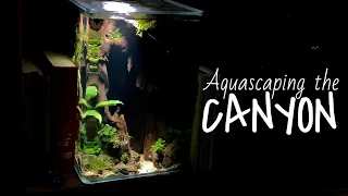 Aquascaping A MarineLand 5g Portrait Aquarium