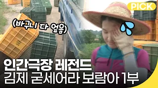 [인간극장 레전드] "감독님 돈 있어요?" 김제 청년농부! 굳세어라 보람 1부 | 재미 PICK | KBS 방송