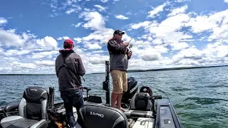 Walleye – Shallow Water Tips (2019)