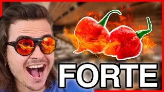 A PIMENTA MAIS FORTE DO MUNDO - Carolina Reaper provando