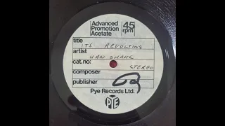 PUREPOP:   Han Shake -  It's Revolting - UK Glam era unreleased acetate (71/72)