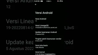 redmi 4 prime | android 12 | lineage os 19.1 gsi | test !!! #2