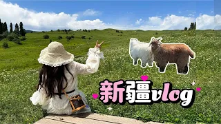 丨妮卡的新疆VLOG丨去了梦里的地方