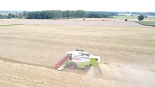 Claas Lexion 460 bei der Ernte 2022