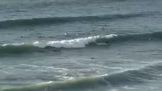 Surfing Fistral Beach, Newquay, Cornwall (8th october 2015)
