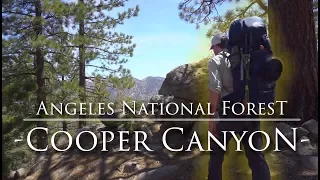Cooper Canyon | Angeles National Forest Hiking and Backpacking near Los Angeles