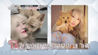 오늘의 견학생? 월드 클래스 트와이스 나연, 쯔위, 모모  [개는 훌륭하다/Dogs Are Incredible] 20200608