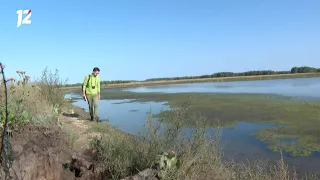 Омск: Час новостей от 24 августа 2021 года (11:00). Новости