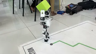 Machine Vision Assisted Humanoid Robot - Department of Robotics and Automation