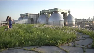 Landscaping the Sky: Green Roofs in the City - Plant One On Me — Ep 082