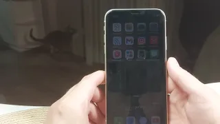 Iphone 11 в 2021 году