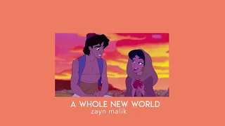 a whole new world (slowed)