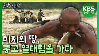 미지의 땅 콩고 열대림을 가다 [KBS 대기획 푸른 지구의 마지막 유산, 콩고 3편-미지의 땅 4,700KM를 가다] / KBS 20110304 방송