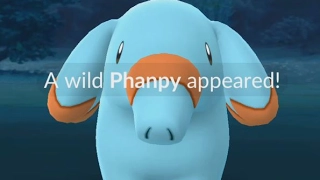 A Wild Phanpy Has Appeared! Pokemon GO Generation 2 Pokedex Entry!