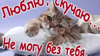 Для тебя,любимый)))