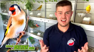 Time for a CHANGE! | Breeding British Birds S3:Ep10