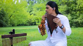 Eu Navegarei I Panflute Version Cover #amazing #song #subscribe #share #fabiansalazarwuauquikuna