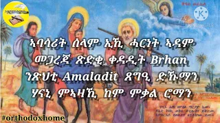 orthodox mezmur lyrics Absarit selam | ኣብሳሪት ሰላም 2020
