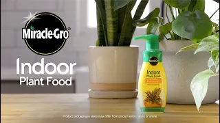 How to Use Miracle-Gro Indoor Plant Food