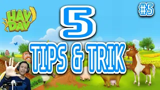 hay day TIPS DAN TRIK #5 | 5 tips and trick untuk pemula l  HAYDAY INDONESIA