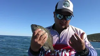 Ep 43 - Winter fishing in the west coast | Catch and Cook | AQuatic Tv Colab