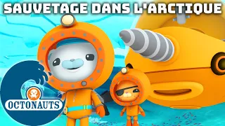 Octonauts - 🐻‍❄️ Sauvetage dans l'Arctique ⛑️ | Compilation | Dessins animés pour enfants