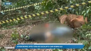 22/09 Jovem morre após tora de eucalipto cair sobre ele