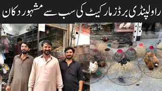 Fancy Hens,Fancy Pigeons leatest Prices At Rawalpindi Birds Market 🥰Birds Market Rawalpindi