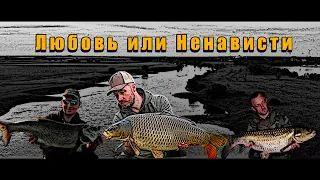 Карпфишинг Ловля Карпа на РекE #2 | RIVER JOB | CARPFISHING