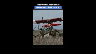 The Wilhelm Scream | National Scream Day