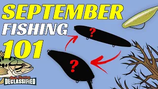 Don’t Go To The Lake Without These Baits In September!