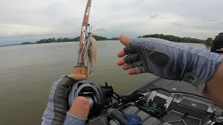 Co-Angler Series - MLF BFL Buckeye Division S3 E5 - Indian Lake, OH 15 July 2023