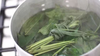 HEALING TEA : Guyabano, Pandan, and Tanglad Iced Tea // Filipino Heritage Kitchen