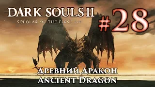 Dark Souls 2: Ancient Dragon