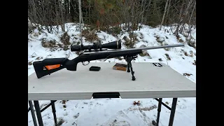 Tikka Tac A1 & SS Varmint in .308