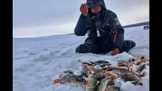 НЕ ШОК!!ОНИ ЛЕЗУТ В ЛУНКИ И НЕ РАЗГИБАЮТ КРЮЧКИ))))Рыбалка 2020, ловля окуня,плотва,безмотылка,Обь.